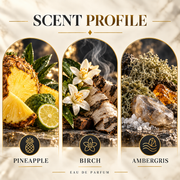 Afnan Supremacy Collector's Edition scent profile with pineapple, birch and ambergris