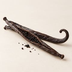 Madagascar Vanilla