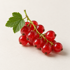 Red Currant