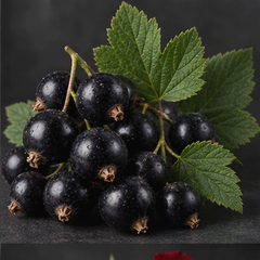 Black Currant