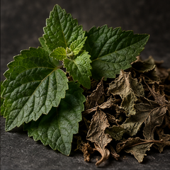 Patchouli