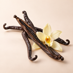 Bourbon Vanilla
