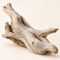 Driftwood