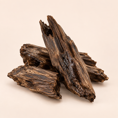 Oud accord