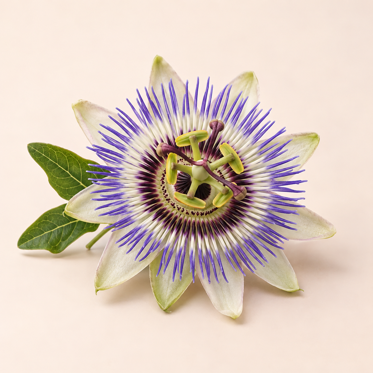 Passionflower fragrance note