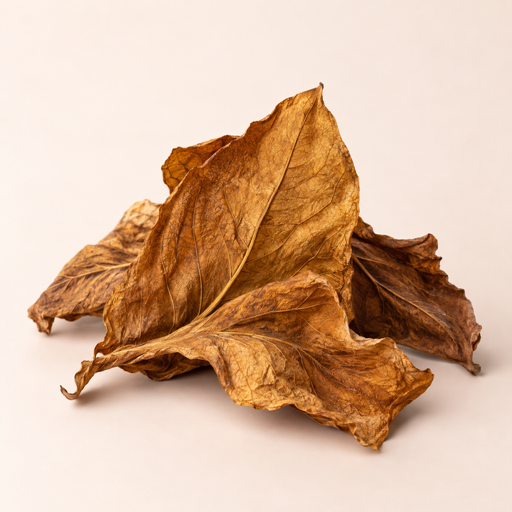 Tobacco fragrance note