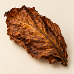 Tobacco leaf
