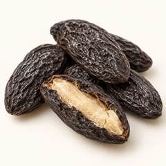 Tonka Bean