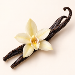 Vanilla