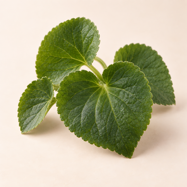 Violet Leaves fragrance note