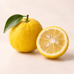 Yuzu