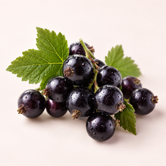 Blackcurrant